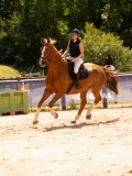 DSC08509 DSC08509