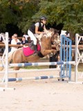 DSC09253 DSC09253