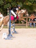 DSC09254 DSC09254