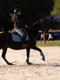 DSC06548 DSC06548