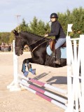DSC06554 DSC06554