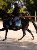 DSC06558 DSC06558