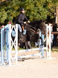 DSC06559 DSC06559