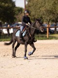 DSC06564 DSC06564