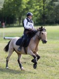 IMG_4133 IMG_4133
