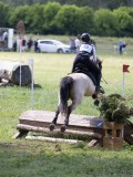 IMG_4135 IMG_4135