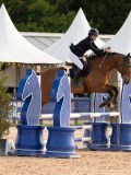 DSC03700