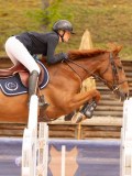 DSC00667 DSC00667