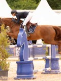 DSC00686 DSC00686