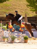 DSC02550 DSC02550