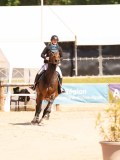 DSC02553 DSC02553