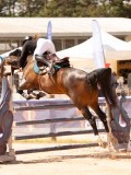 DSC02565 DSC02565
