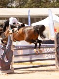DSC02566 DSC02566