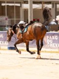 DSC02567 DSC02567