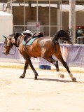 DSC02569 DSC02569
