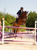 DSC04168 DSC04168