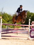 DSC04169 DSC04169