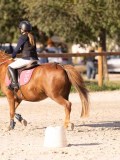 DSC06569 DSC06569