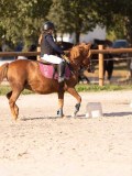 DSC06570 DSC06570