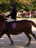 DSC06577 DSC06577