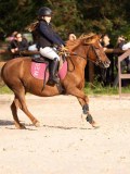 DSC06578 DSC06578