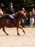 DSC06580 DSC06580