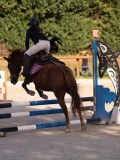 DSC06583 DSC06583