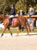 DSC06584 DSC06584