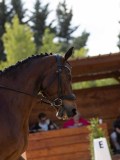 IMG_9842