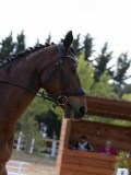 IMG_9871