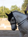 IMG_4424