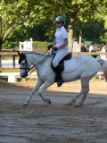 IMG_4456