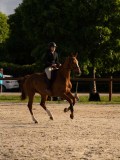 DSC00419
