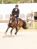 DSC00219