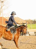 DSC04276 DSC04276