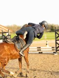 DSC04278 DSC04278