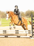 DSC04763 DSC04763