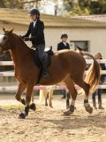 DSC04765 DSC04765