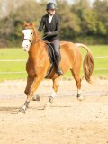 DSC04775 DSC04775