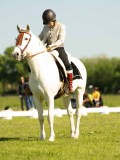 DSC02183
