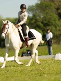 DSC02199
