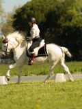DSC02201