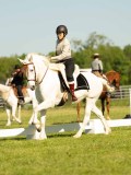 DSC02203