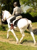 DSC03641