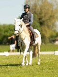 DSC02480