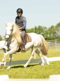 DSC02506