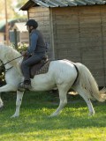 DSC04080
