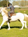 DSC04094