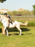 DSC04098