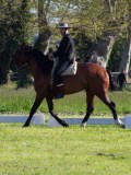 IMG_0252